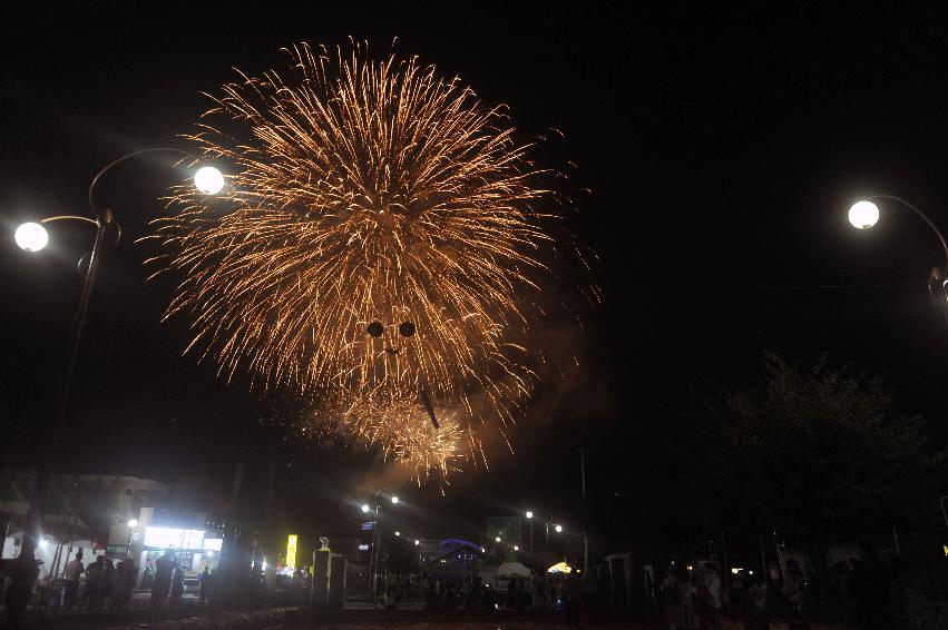 2016 화천토마토축제 전야제 의 사진