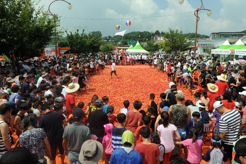 2016 화천토마토축제장 전경 사진