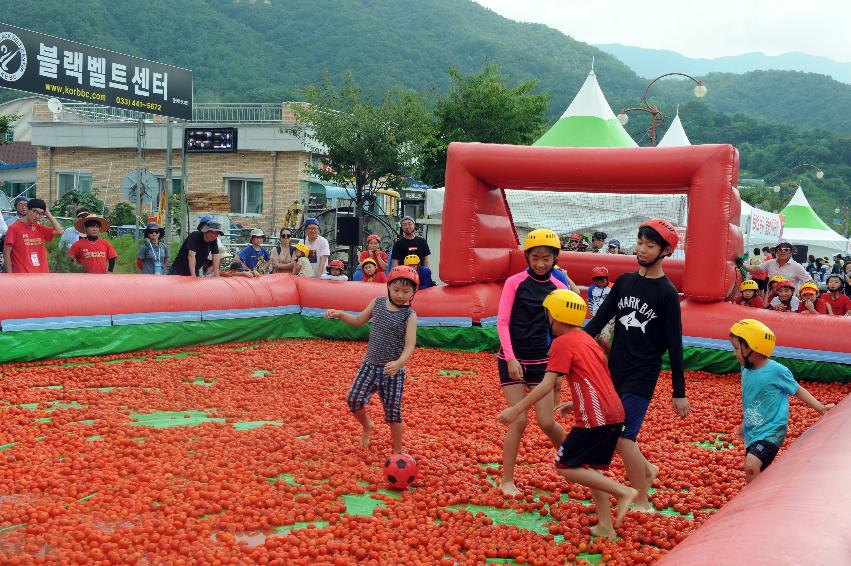 2016 화천토마토축제장 전경 의 사진