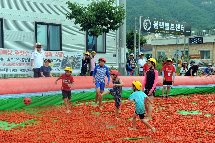 2016 화천토마토축제장 전경 의 사진