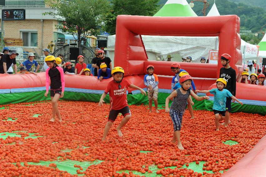 2016 화천토마토축제장 전경 의 사진