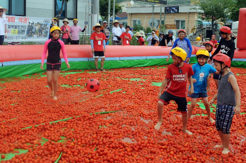 2016 화천토마토축제장 전경 의 사진