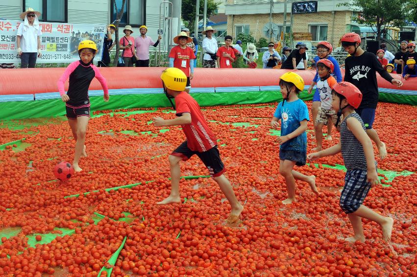 2016 화천토마토축제장 전경 의 사진