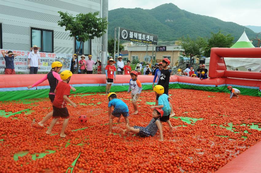 2016 화천토마토축제장 전경 의 사진