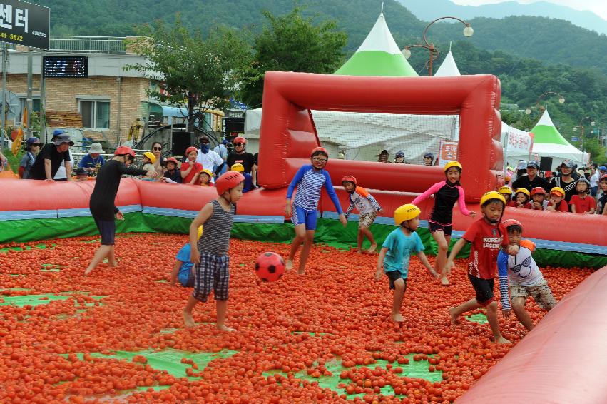 2016 화천토마토축제장 전경 의 사진