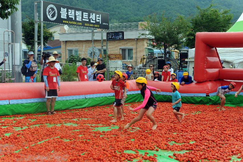 2016 화천토마토축제장 전경 의 사진