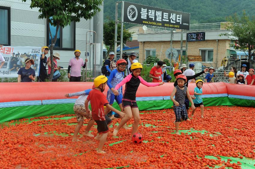 2016 화천토마토축제장 전경 의 사진