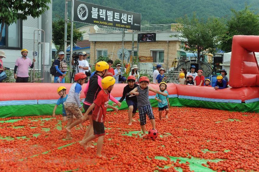 2016 화천토마토축제장 전경 의 사진