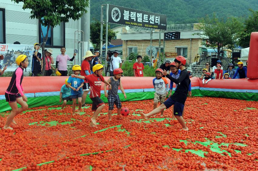 2016 화천토마토축제장 전경 의 사진