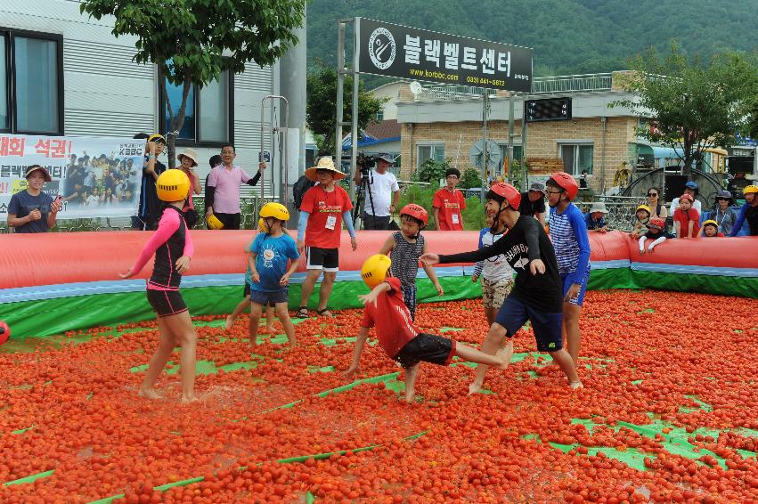 2016 화천토마토축제장 전경 의 사진