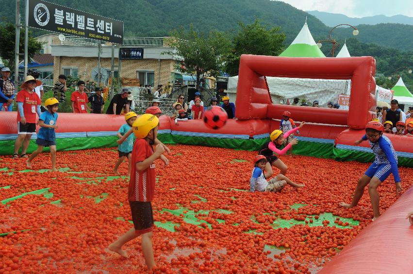 2016 화천토마토축제장 전경 의 사진