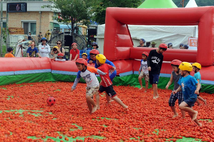 2016 화천토마토축제장 전경 의 사진