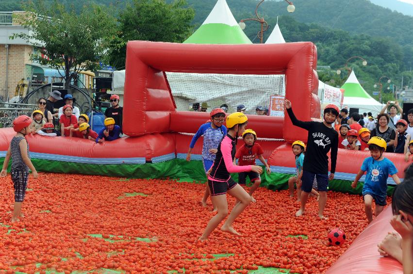 2016 화천토마토축제장 전경 의 사진