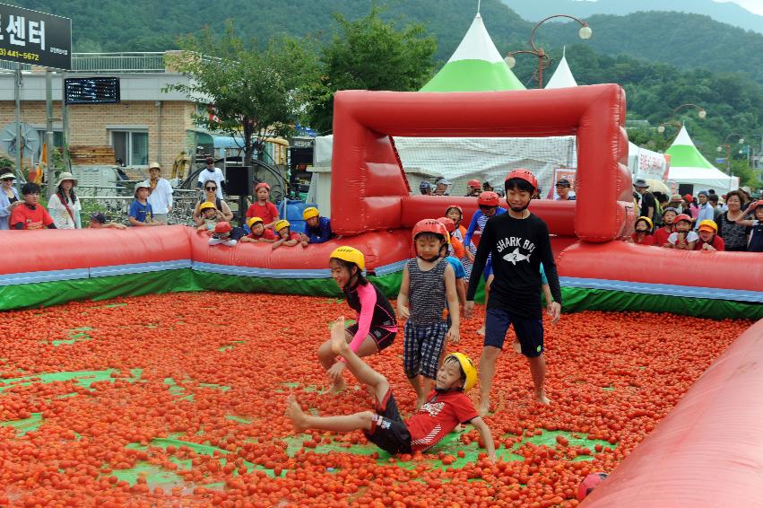 2016 화천토마토축제장 전경 의 사진