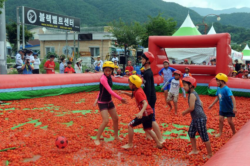 2016 화천토마토축제장 전경 의 사진