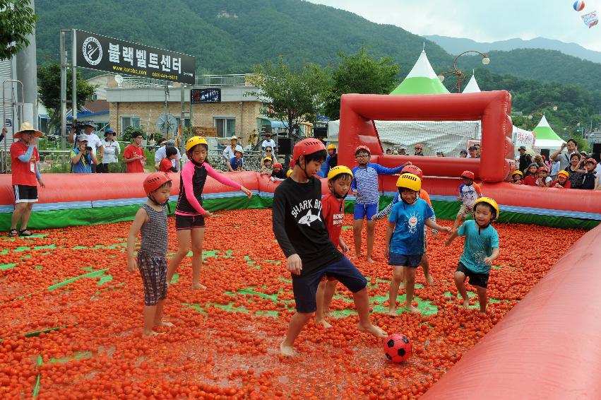 2016 화천토마토축제장 전경 의 사진