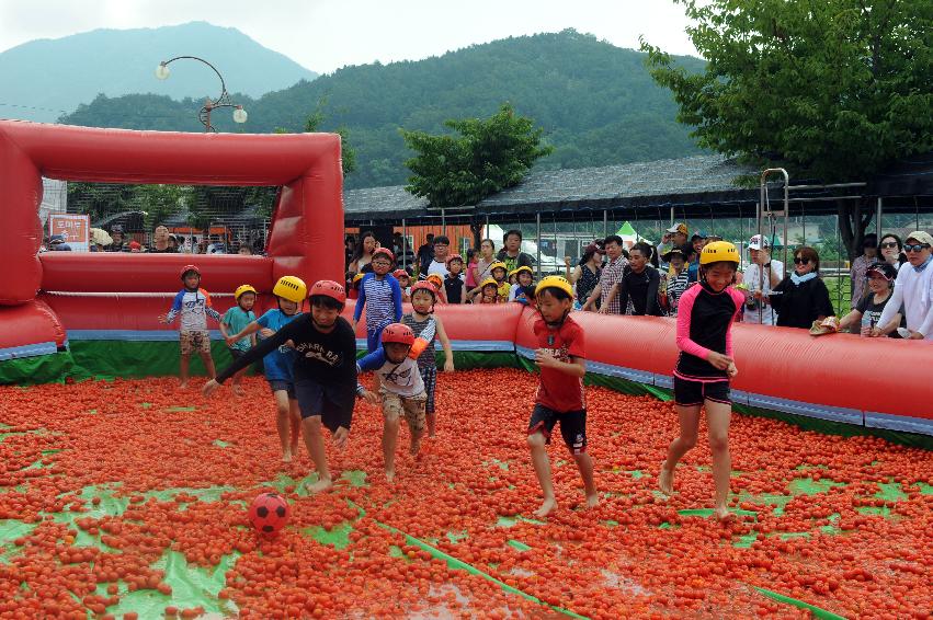 2016 화천토마토축제장 전경 의 사진