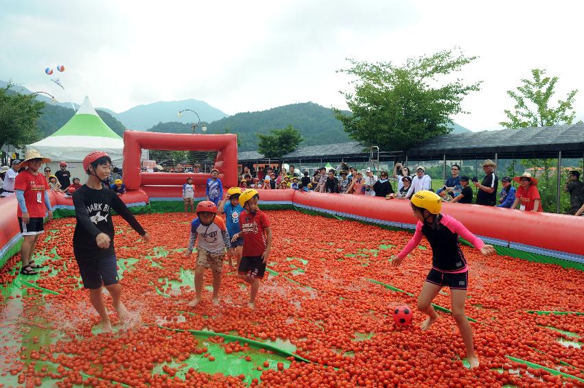 2016 화천토마토축제장 전경 의 사진