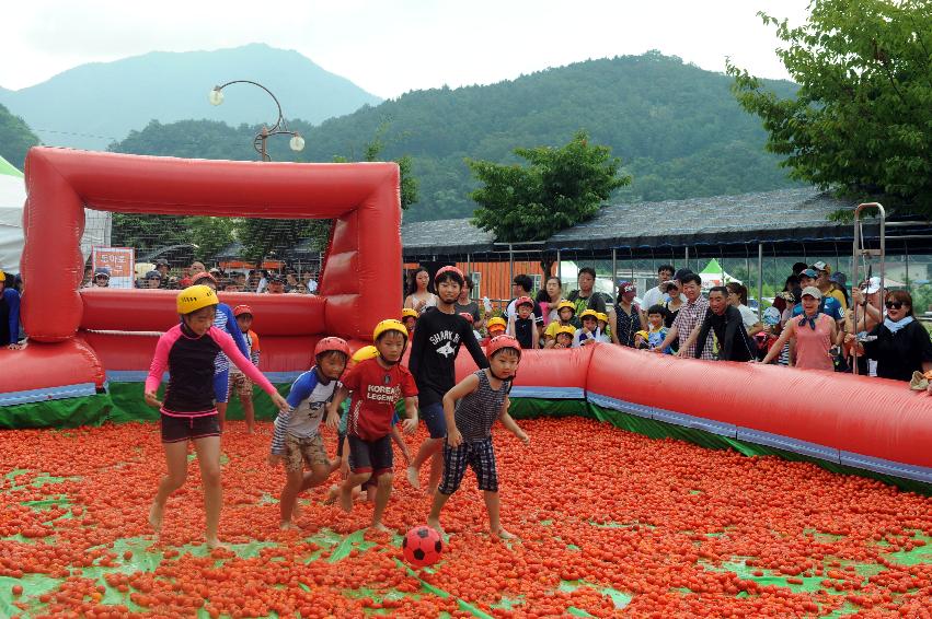 2016 화천토마토축제장 전경 의 사진