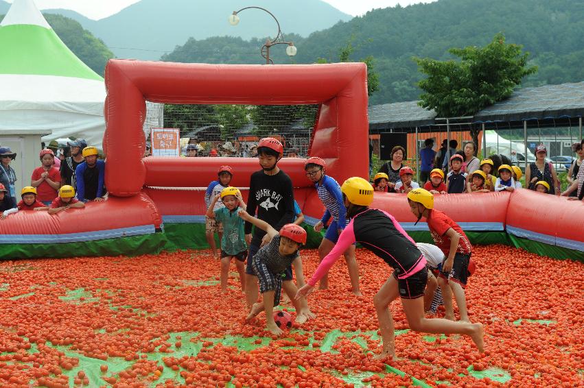 2016 화천토마토축제장 전경 의 사진