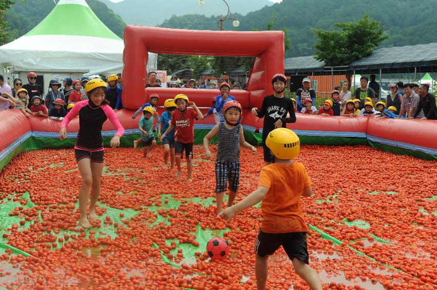 2016 화천토마토축제장 전경 의 사진