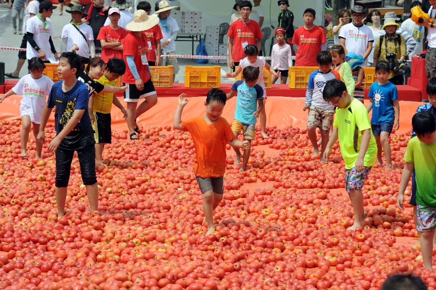 2016 화천토마토축제장 전경 의 사진