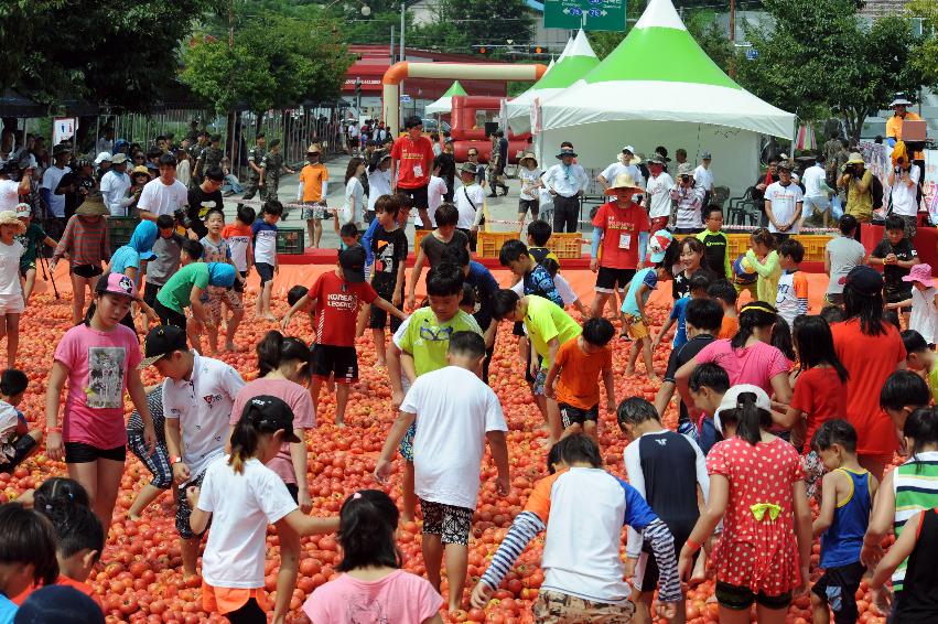 2016 화천토마토축제장 전경 의 사진