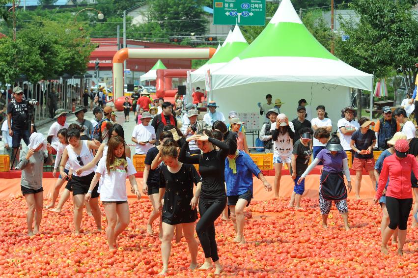 2016 화천토마토축제장 전경 의 사진