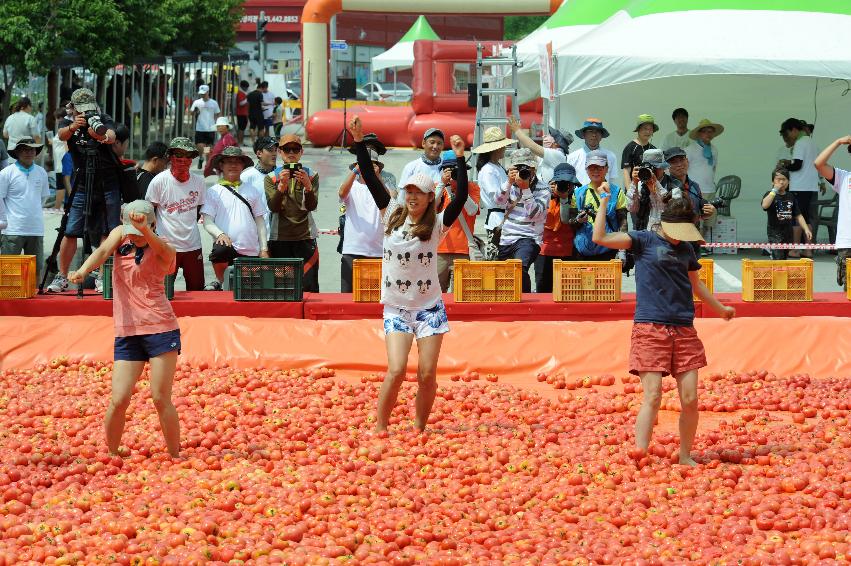 2016 화천토마토축제장 전경 의 사진