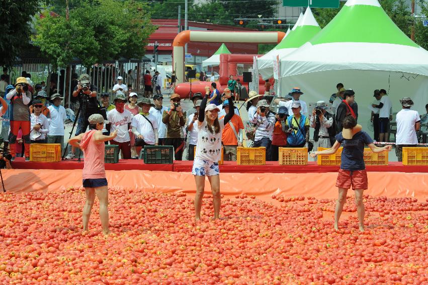 2016 화천토마토축제장 전경 의 사진