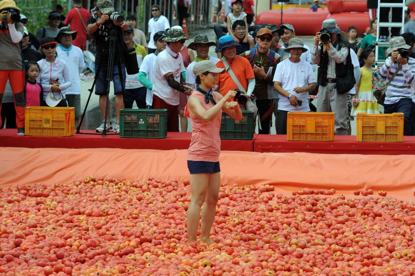 2016 화천토마토축제장 전경 의 사진