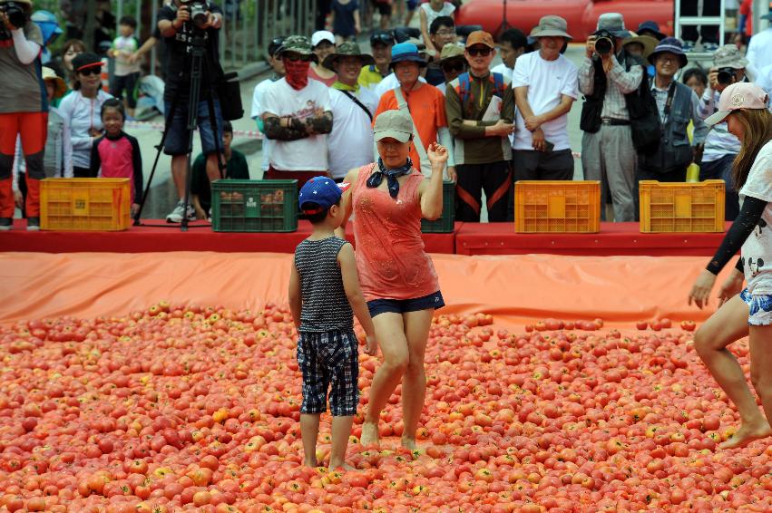 2016 화천토마토축제장 전경 의 사진