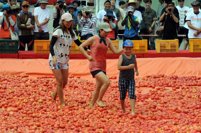 2016 화천토마토축제장 전경 의 사진