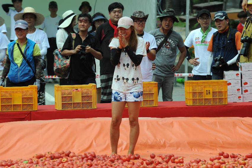 2016 화천토마토축제장 전경 의 사진