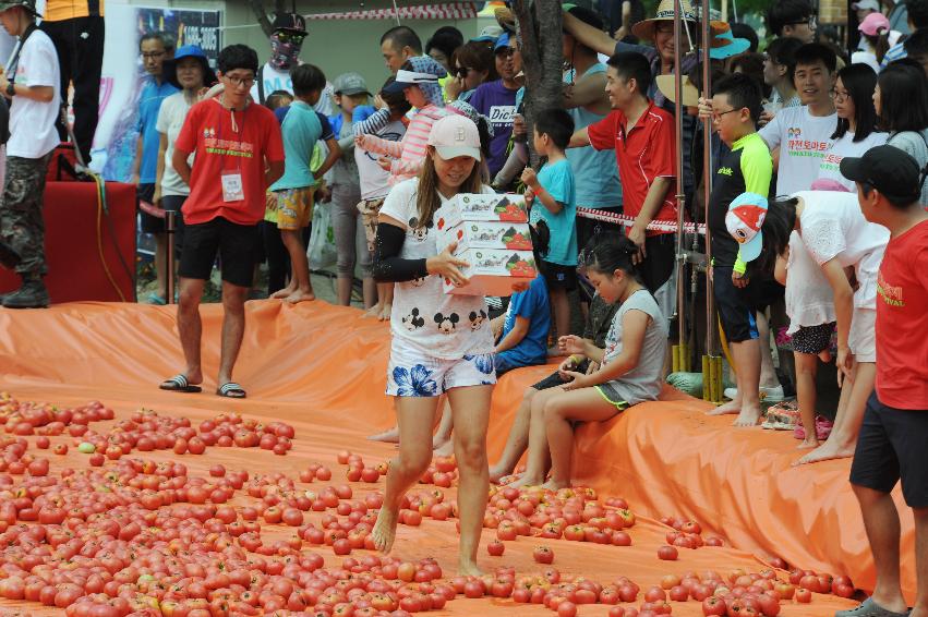 2016 화천토마토축제장 전경 의 사진