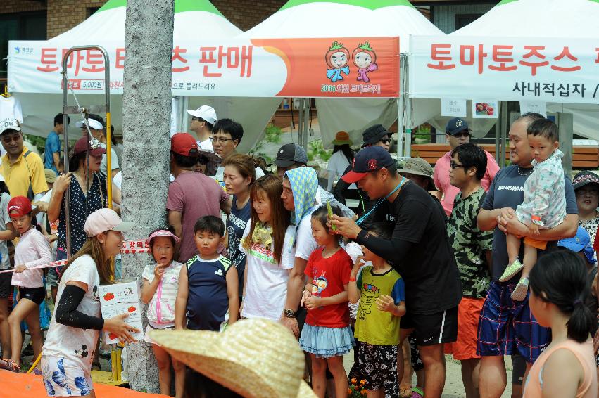 2016 화천토마토축제장 전경 의 사진