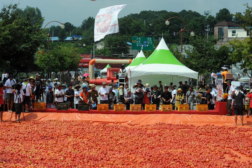 2016 화천토마토축제장 전경 의 사진