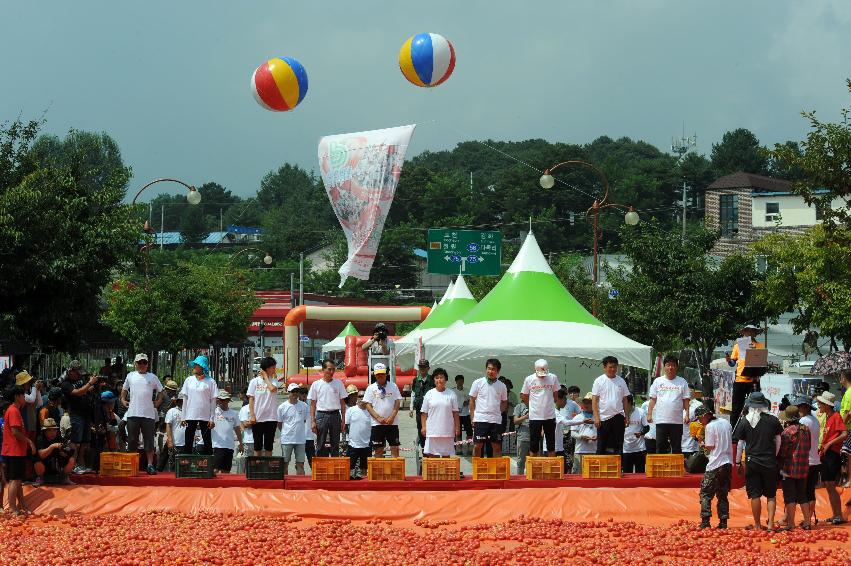 2016 화천토마토축제장 전경 의 사진