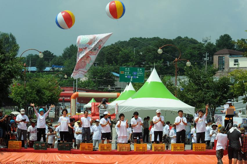 2016 화천토마토축제장 전경 의 사진