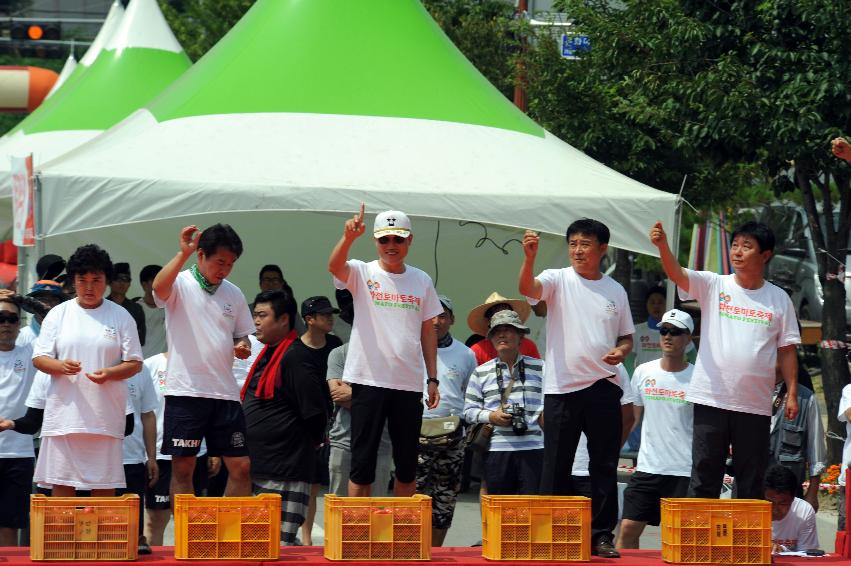 2016 화천토마토축제장 전경 의 사진