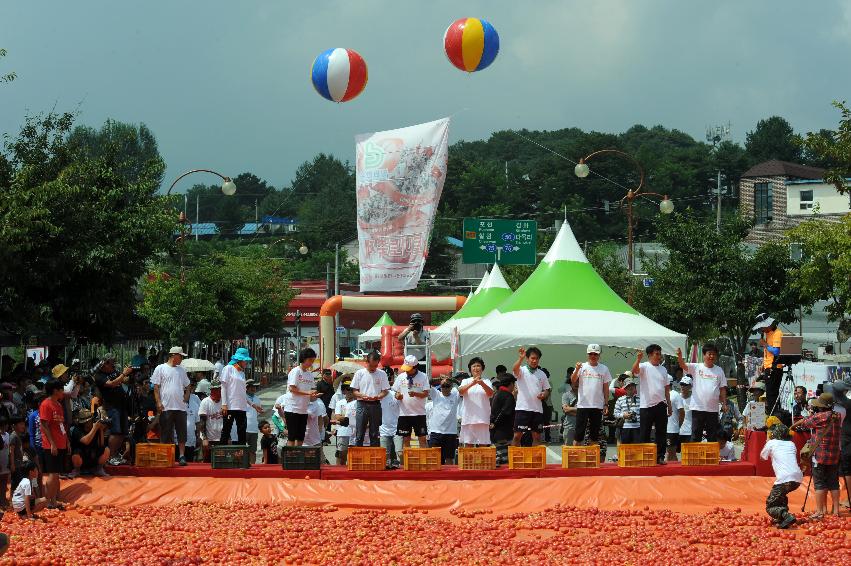 2016 화천토마토축제장 전경 의 사진