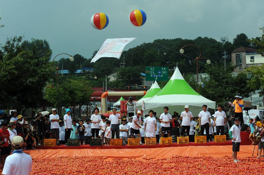 2016 화천토마토축제장 전경 의 사진