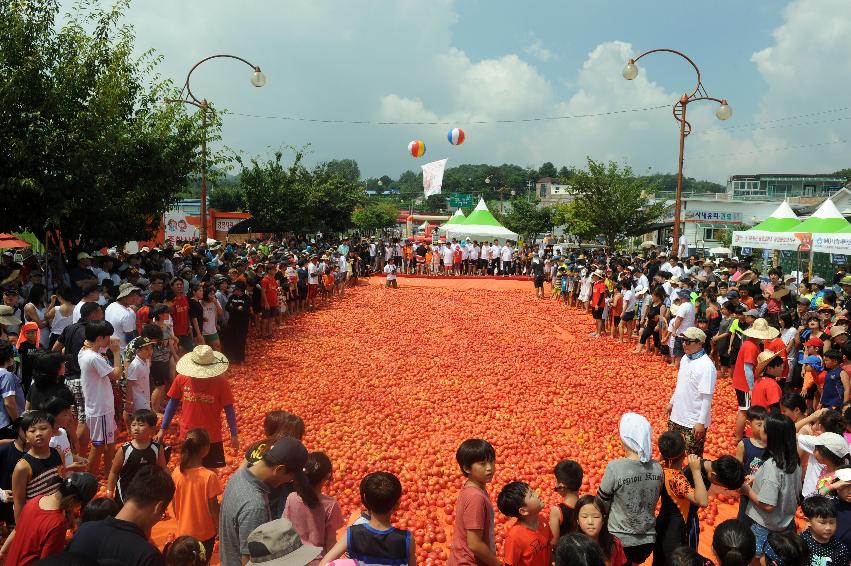 2016 화천토마토축제장 전경 의 사진