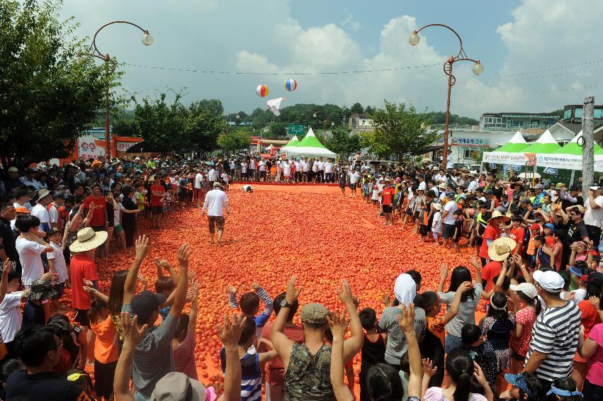 2016 화천토마토축제장 전경 의 사진