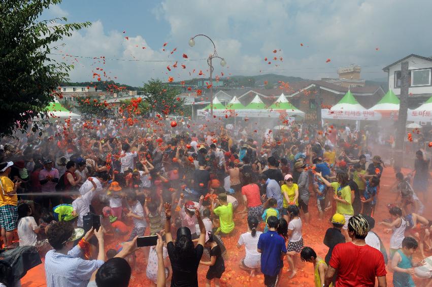 2016 화천토마토축제장 전경 의 사진