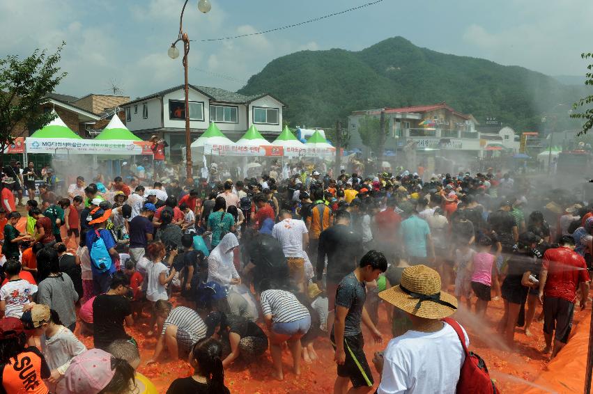 2016 화천토마토축제장 전경 의 사진