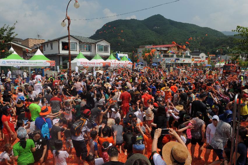 2016 화천토마토축제장 전경 의 사진