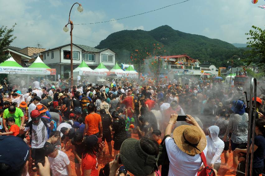 2016 화천토마토축제장 전경 의 사진