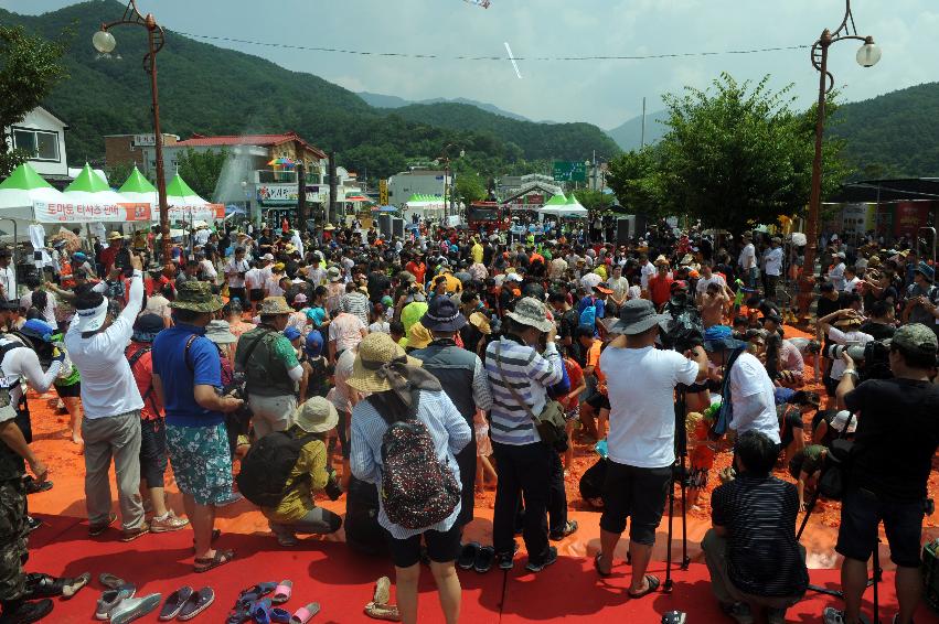 2016 화천토마토축제장 전경 의 사진