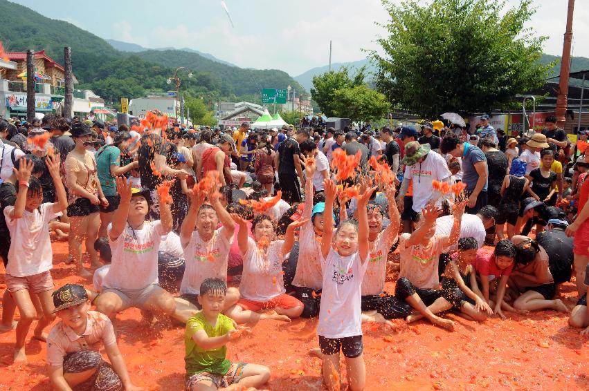 2016 화천토마토축제장 전경 의 사진